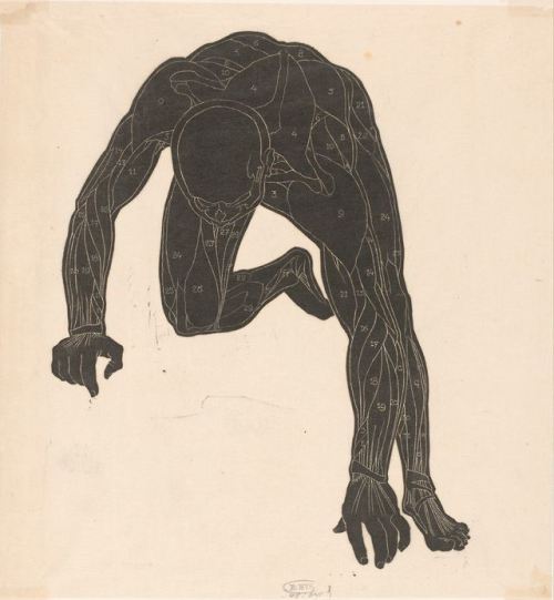 nobrashfestivity:Reijer Stolk, Anatomical study of the neck, arm and leg muscles of a man in silhoue