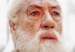 the-savior-and-the-pirate:  That moment in a musical when all the songs are combined