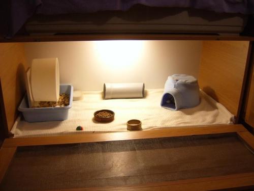 scalestails:What people thank an animal should be kept in and what the animal actually should be kep