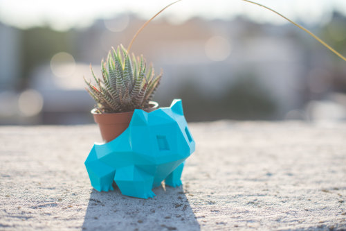 insanelygaming:  Bulbasaur Planter Created by PrintAworld via   moon83     Those cause cancer you dumb b*tch.