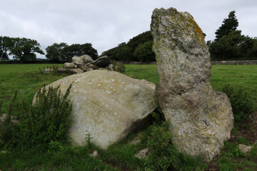 Hendrefor Burial Chambers, nr. Pentraeth, Anglesey, North Wales, 14.8.18.This is the second time I h