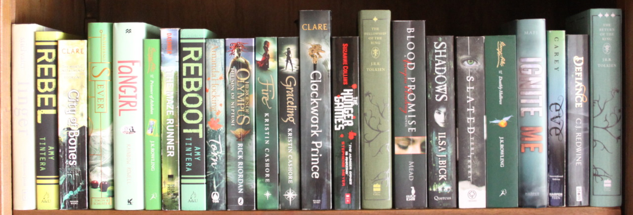 books-glorious-books:  tilly-and-her-books:  I tried to make my shelves rainbow which