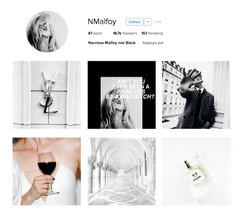 brienneoftvrth:@fandomaestheticnet: social media au » Narcissa Malfoy née Black (harry potter)