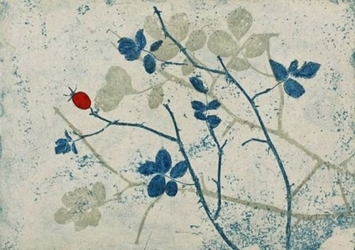 Rose Hip -  Koistinen JohannaFinnish, b.1956  -Etching, Aquatint, 25 x 35 cm.