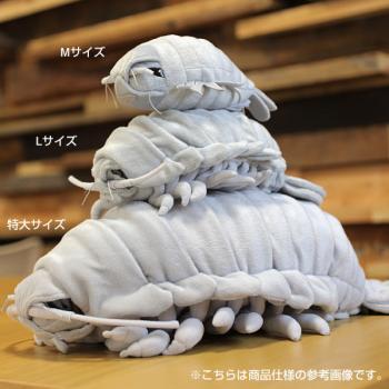 OMG LOOK THOSE CUDDLY ISOPODS COME IN DIFFERENT SIZES RANGING FROM ADORABLE TO EXTRA ADORABLE.