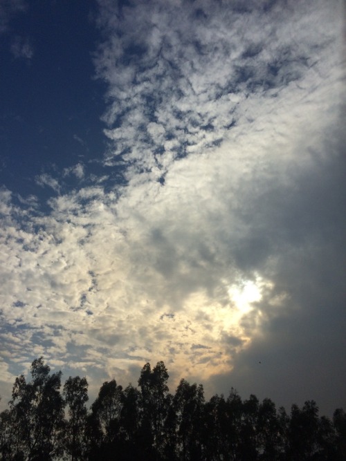 stolenfootprints:  The sky at the moment!! 