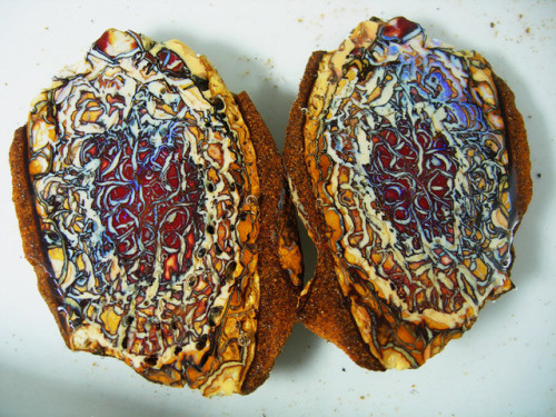 Yowah Nut Opals Yowah, Queensland Australia