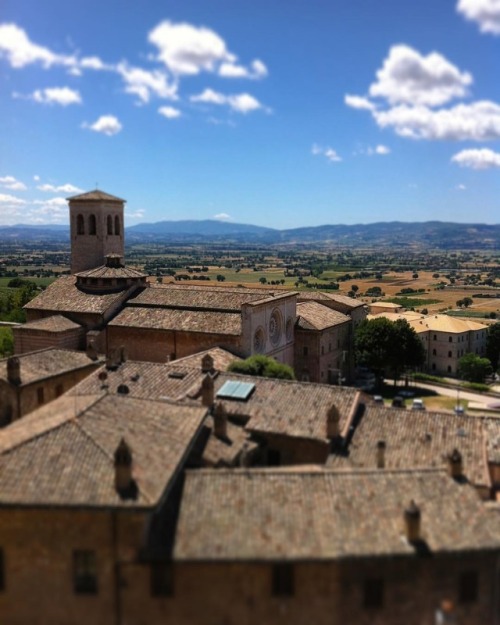 Rooftops of Assisi. Still time to sign up for a workshop here.Link in profile. # @ckreloff ~~~ #as