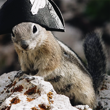  Les Mis AU → Everyone is a squirrel      