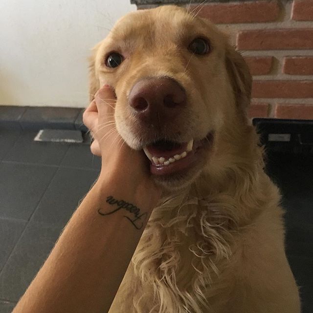 jess, bissex, 24