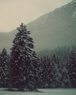 feeglory:  winter