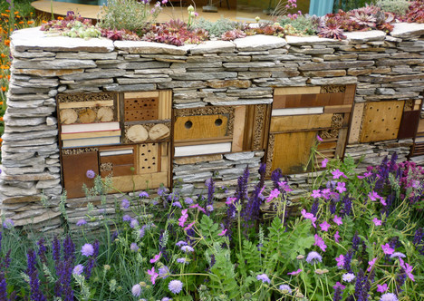 biodiverseed:  biodiverseed:  Insect Hotels Over 30% of solitary bee species are