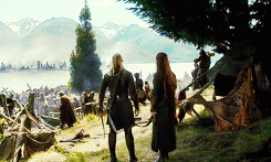 bellamying:  ELVES 