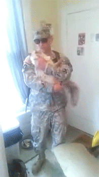 dollbun:  sakibatch:  botanycameos:  sizvideos:  Cat Welcomes Home Soldier - Video  It’s not just dogs that do this~ :D  AWE THIS IS THE CUTEST THING  SO CUTE  i just kept staring at the gif where the cat jumps into his arms~