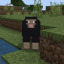 sleepysheep03