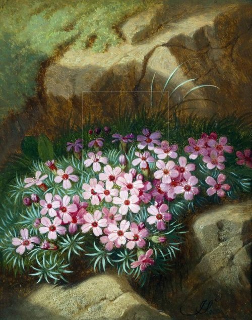 Joseph Schuster (Austrian, 1812 - 1890)Alpine Flowers