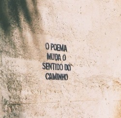 poesia carbonizada