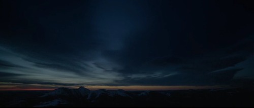 The Revenant, 2015 - Alejandro González IñárrituD.O.P - Emmanuel Lubezki