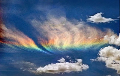 XXX flaws-in-icarus:  “Fire Rainbows” are photo