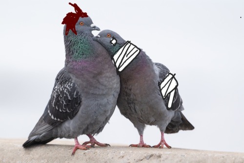 A COLLECTION OF POORLY EDITED IMAGES, PRESENTED BY ME!