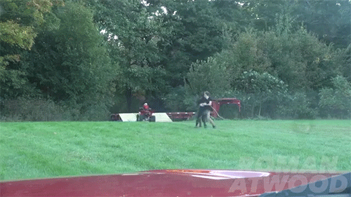 chainsawpunk:  sizvideos:  Roman Atwood blows up his own ‘kid’ in his last prank! Watch the full video   when u convince ur girlfriend that her child died in front of her? xD?