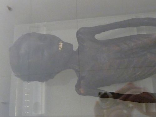 romegreeceart:Palazzo Massimo -  Mummy girl and her toys1. Mummy of an eight-year-old girl2. Sarcoph
