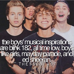 5sos Facts