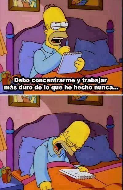 mausalen:  La noche antes del examen final y vos como 