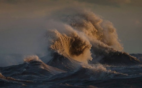 montereybayaquarium: nevver: Point break, Dave Sandford