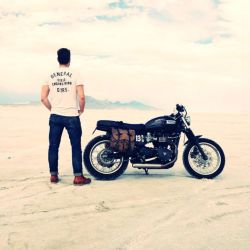 scrambler081:  Bonneville