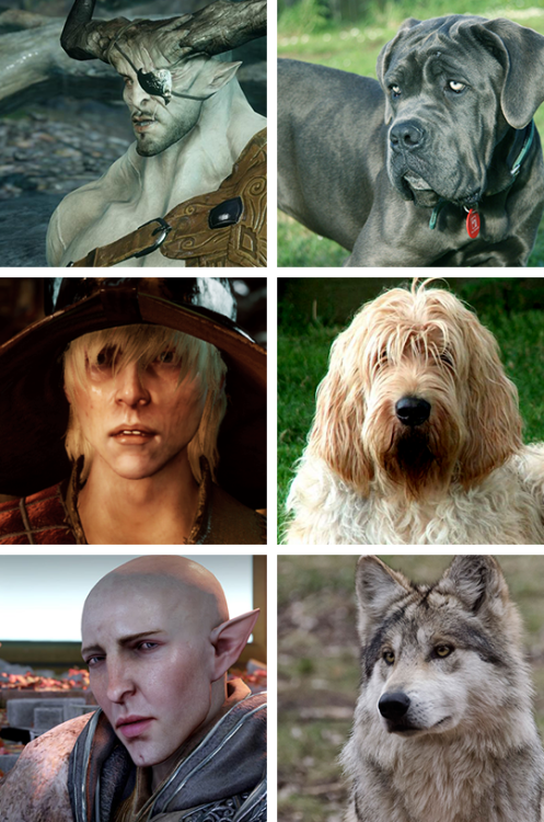 klc-journei: little-black-otter: Added some Inquisition doggos now that I’ve finished the game