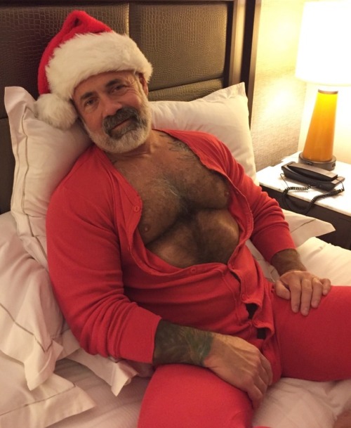 Porn lamsclbear:Santa bear photos