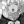 anime-boss: