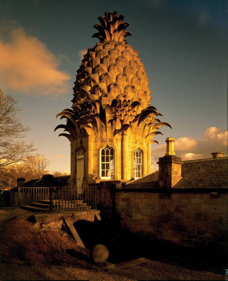 indefenseofart:  The Pineapple, 1761, Dunmore Park, Scotland. This pineapple shaped cupola is attached to a hothouse which was actually used to grow Pineapples. The design of this building is often attributed to William Chambers and the current resident