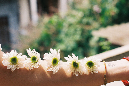 expeditum: as graceful as the tide by holding onto gravity on Flickr. 