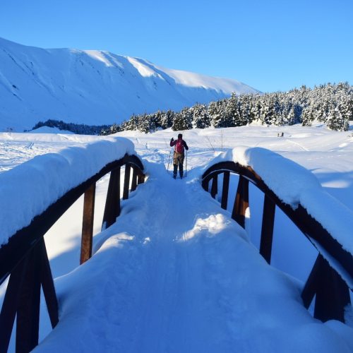 On the tippy top of the bridge! #nofilter #alaska #adventure #alaskaliving #explorealaska #liveauthe