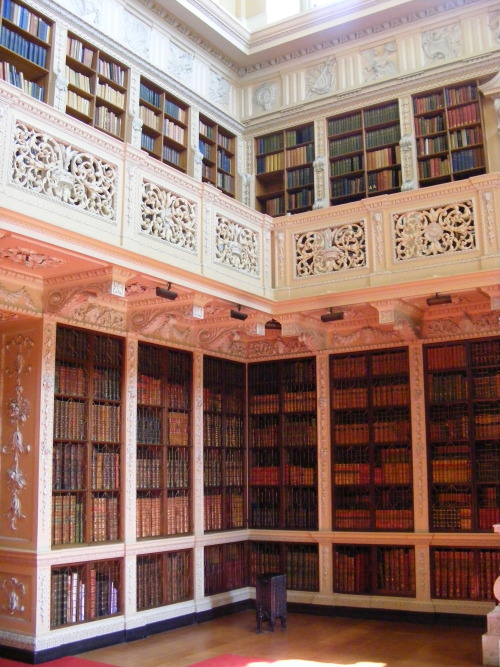 theladyintweed: Blenheim Palace, the library Photo by me 