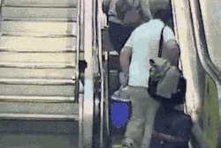 Tealcheesecake:  Onlylolgifs:  My Life In One Gif   Just Ride It Out 