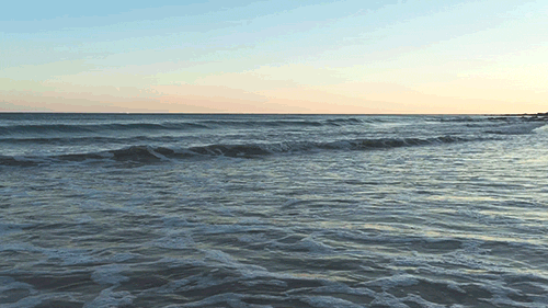 pedromgabriel:  - The Ocean in Motion -by Pedro Gabriel