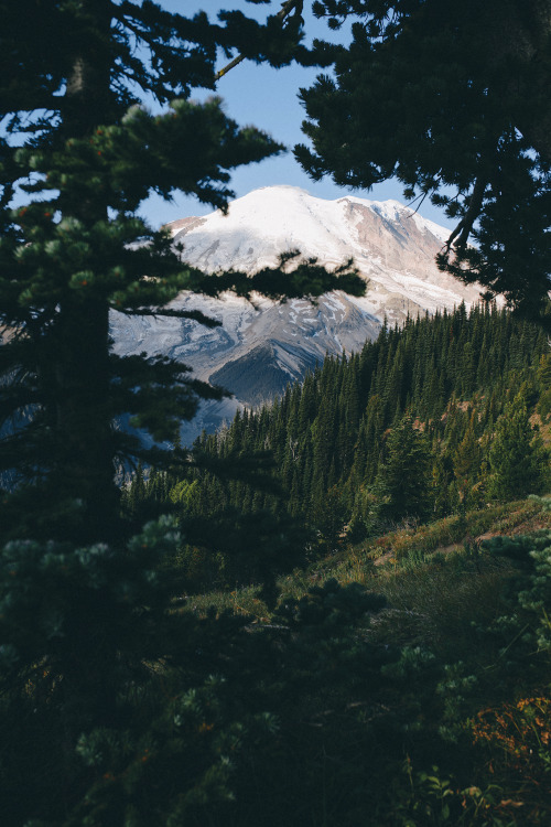 brianstowell: Mount Rainier National Park, Washington