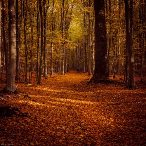 besidethepath