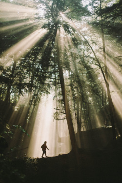 brutalgeneration:  Hocking Hills (by Jenna Souers)