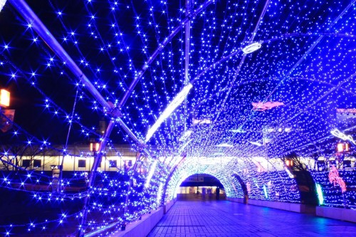 【５０７】冬の日に 多摩の都心は 電飾で 征く先照らす 光の道に