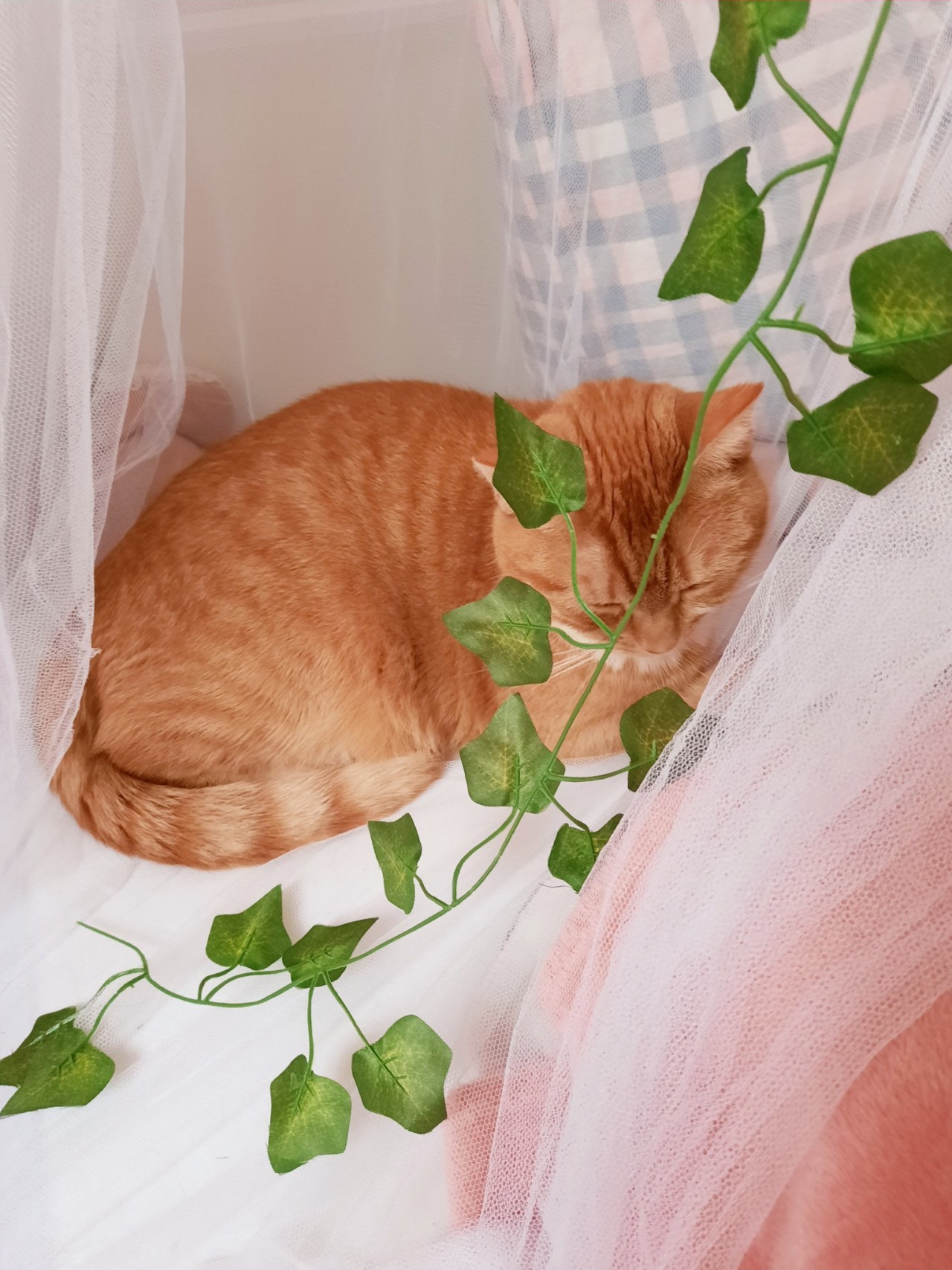 rosypotions:Fairy princess. 🍃🧚‍♀️