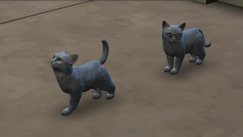 beanstalk-sims