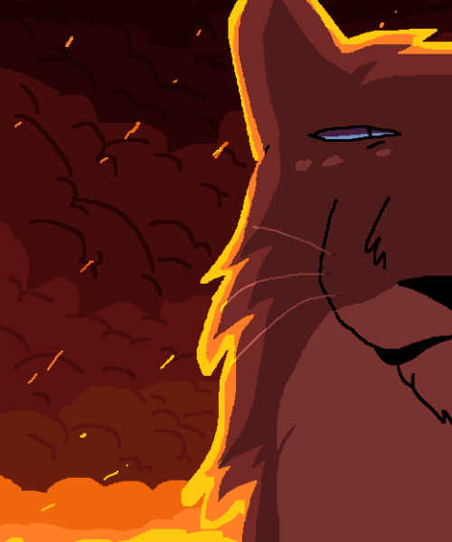 Ashfur the Kittypet