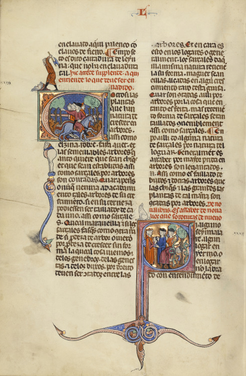 Initial E: Riders on Horseback; Initial S: A Judge and Men with Axes in a Vineyard, Ms. Ludwig XIV 6