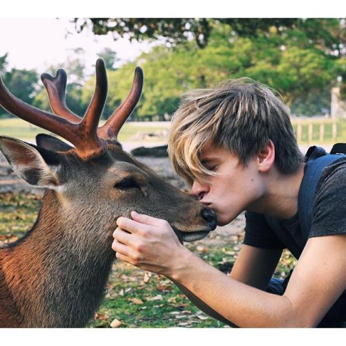lxkekorns:lukekorns: I made a deer friend. This deer was wild, but incredibly trusting to humans. 