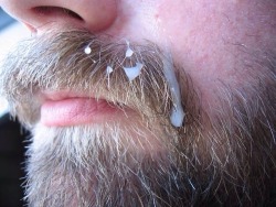 beardburnme:  Golden nut