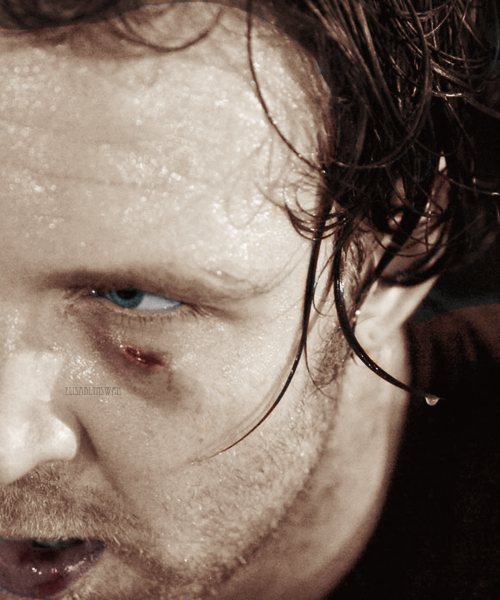 littlefuzzysheep:  elisabethswan:  [x]   Ohhhhh *strokes screen*